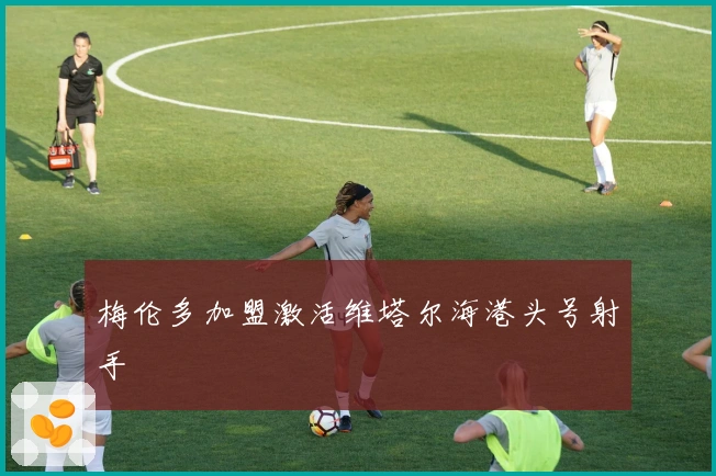 梅伦多加盟激活维塔尔海港头号射手