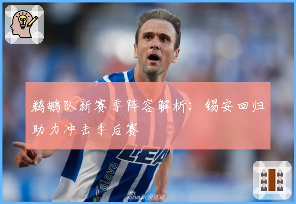 鹈鹕队新赛季阵容解析：锡安回归助力冲击季后赛